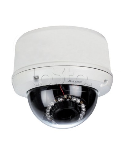 IP-камера видеонаблюдения уличная купольная D-Link DCS-6510/EP в Москве IP-камеры Pintop.ru