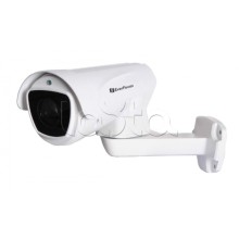 Камера видеонаблюдения в стандартном исполнении EverFocus EZA6210